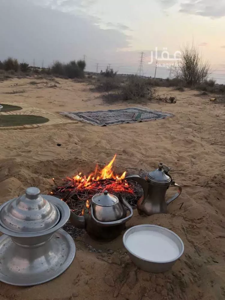 مزرعة للبيع في حنيذ ، النعيرية صورة 2