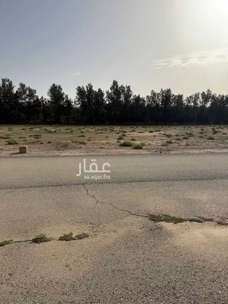 Land for Sale in Buraydah Ash Shiqah صورة 4