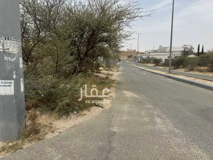 أرض للبيع في شارع 82 العروبة, حي العروبة, مدينة بلقرن, منطقة عسير صورة 3