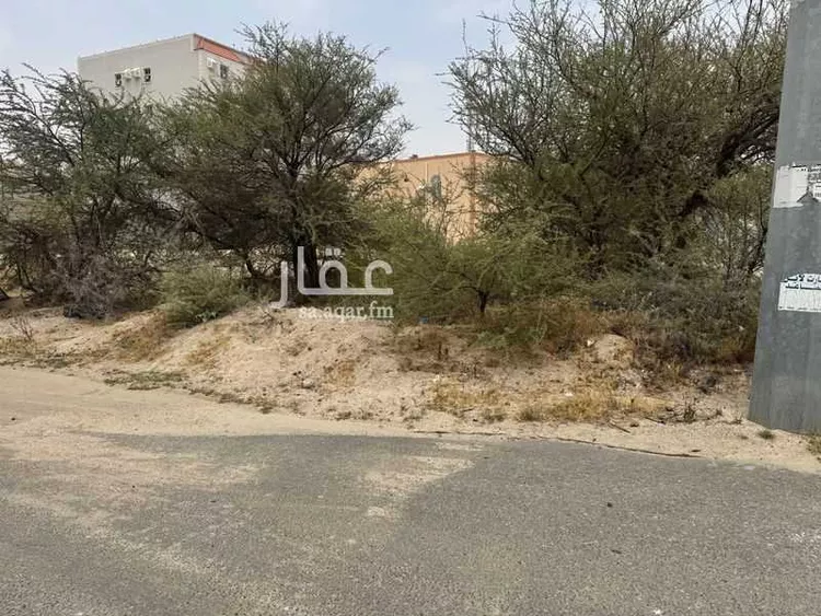 أرض للبيع في شارع 82 العروبة, حي العروبة, مدينة بلقرن, منطقة عسير صورة 5