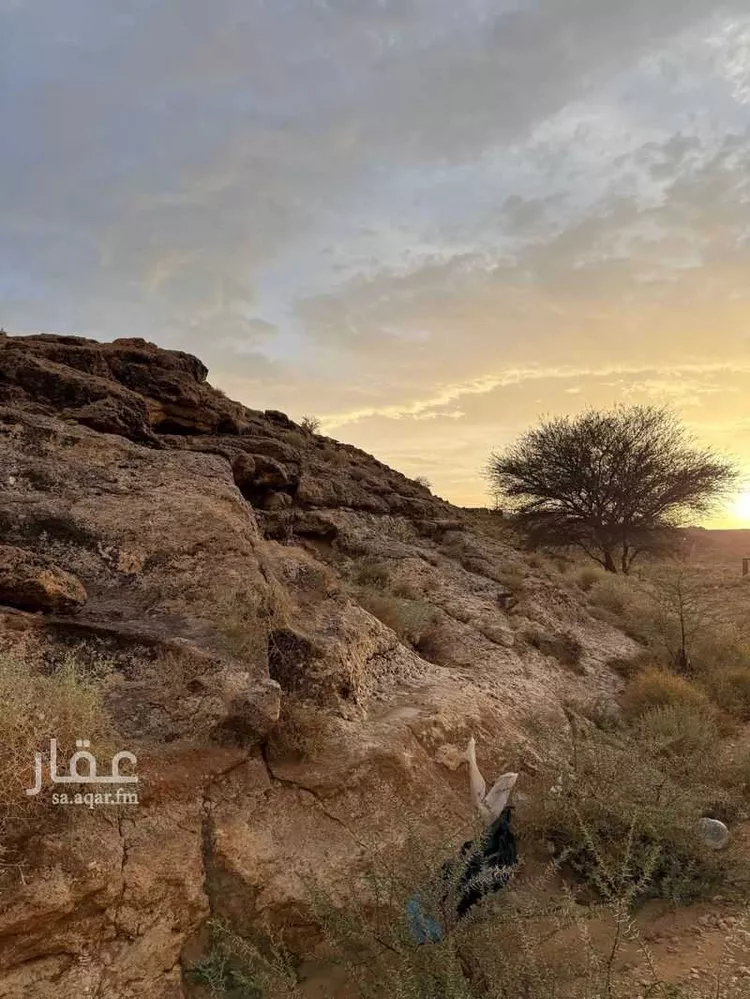 أرض للبيع في شارع 24736430, مدينة مخطط استراحات العماريه, منطقة الرياض 8