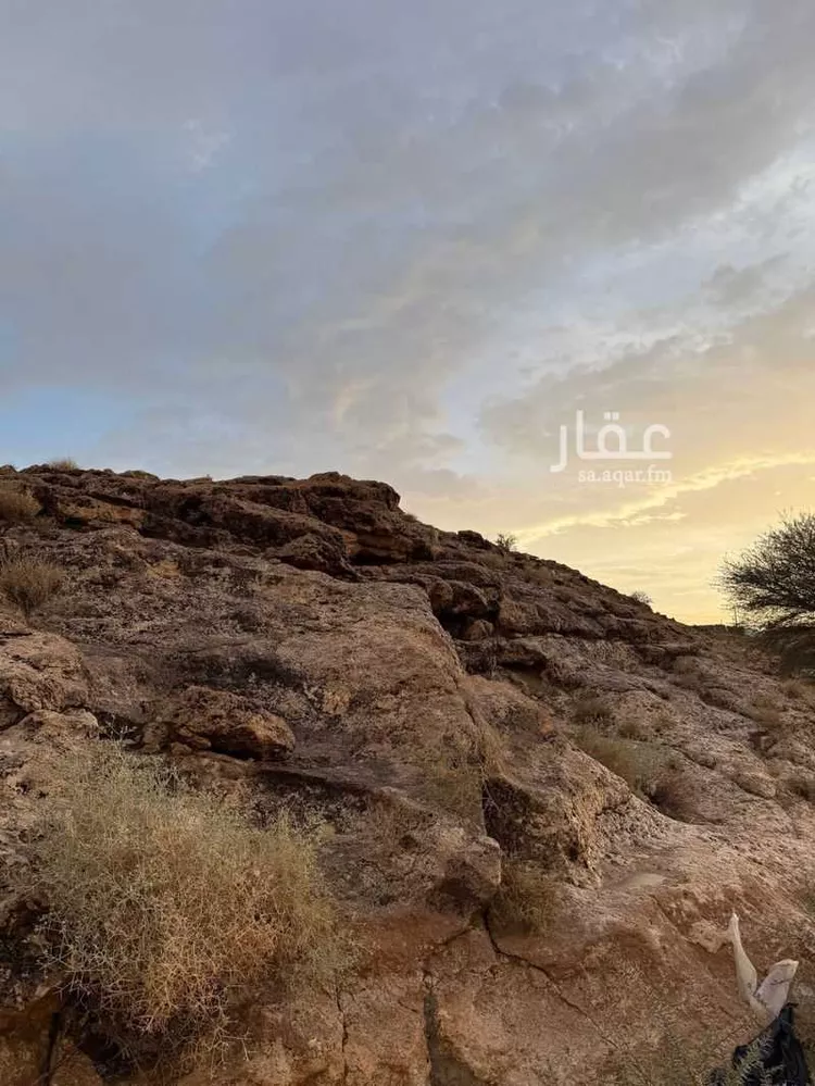 أرض للبيع في شارع 24736430, مدينة مخطط استراحات العماريه, منطقة الرياض 10