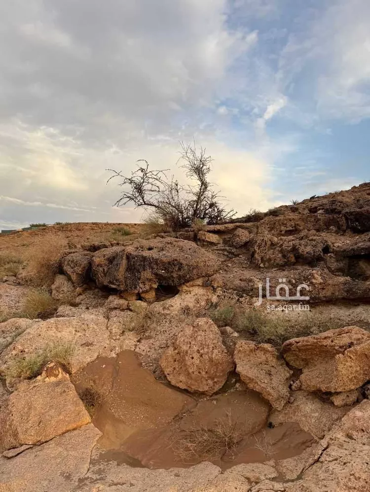 أرض للبيع في شارع 24736430, مدينة مخطط استراحات العماريه, منطقة الرياض 9