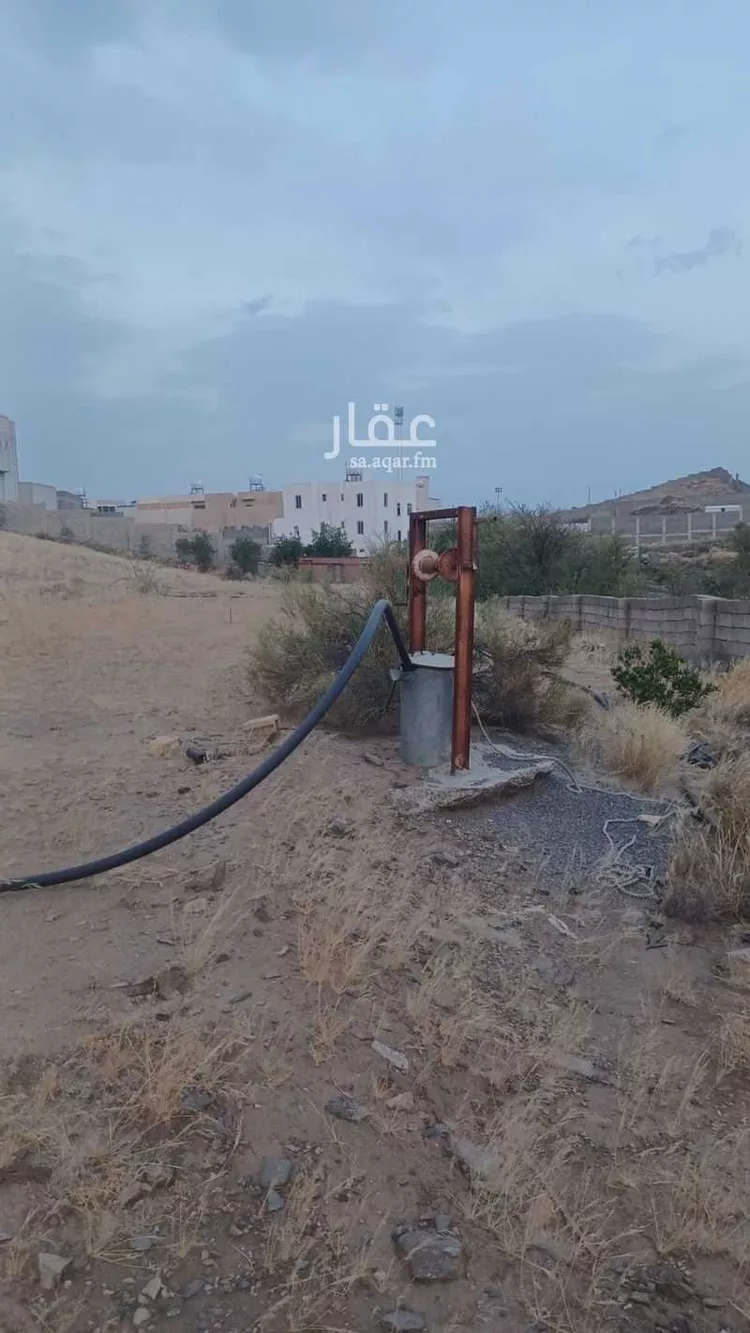 مزرعة للبيع في شارع شارع بير ابين , حي الزهور, مدينة أبها, منطقة عسير 9