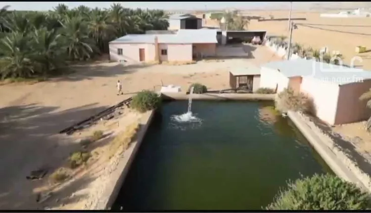 مزرعة للبيع في شارع 238, حي مزارع حمادة مليح الشماليه, مدينة مزارع حمادة مليح الشماليه, منطقة الرياض