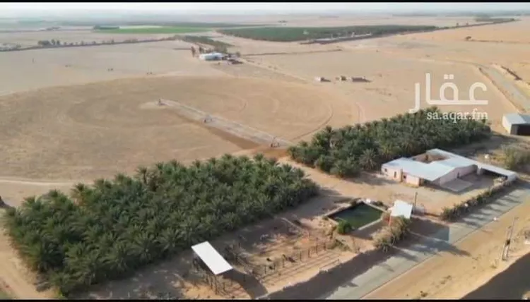 مزرعة للبيع في شارع 238, حي مزارع حمادة مليح الشماليه, مدينة مزارع حمادة مليح الشماليه, منطقة الرياض صورة 2