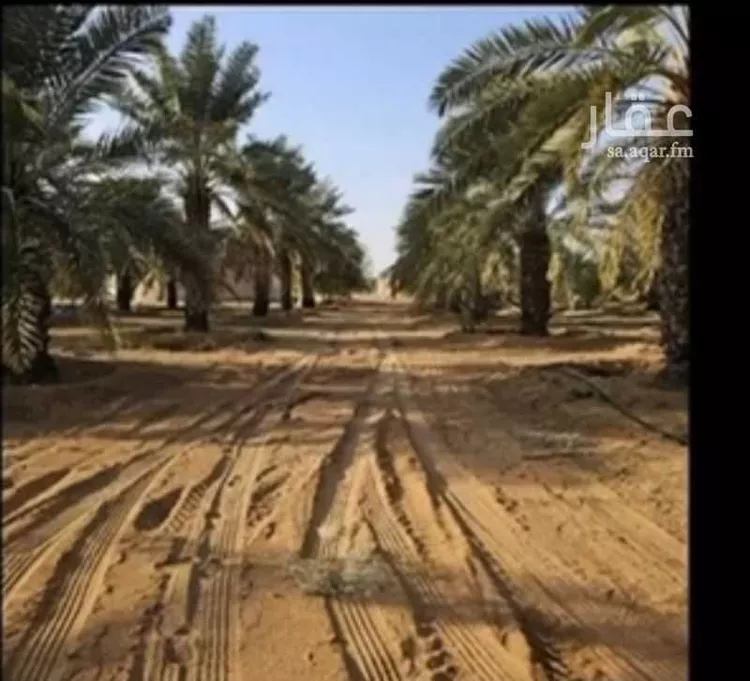 مزرعة للبيع في مدينة روضه سدير, منطقة الرياض صورة 4