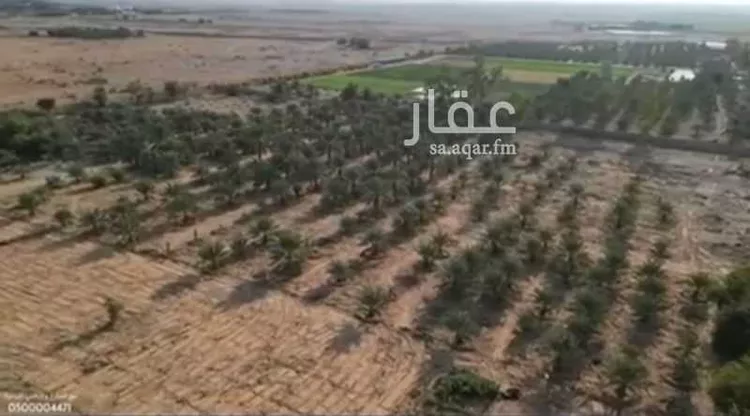 مزرعة للبيع في مدينة روضه سدير, منطقة الرياض صورة 5
