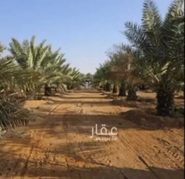 مزرعة للبيع في مدينة روضه سدير, منطقة الرياض 7