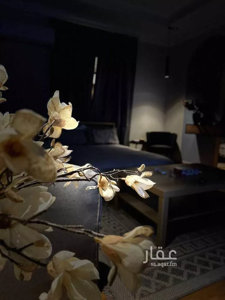Furnished Apartment for Booking in Riyadh Qurtubah 8