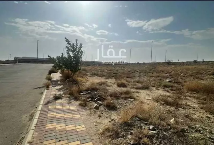 أرض للإيجار في شارع الهدا, حي الهدا, مدينة امارة منطقة مكة المكرمة - الطائف, منطقة مكة المكرمة صورة 3