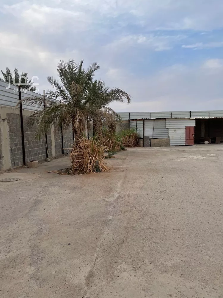 أرض للبيع في شارع الحلفاء, حي الغنامية, مدينة الرياض, منطقة الرياض 9