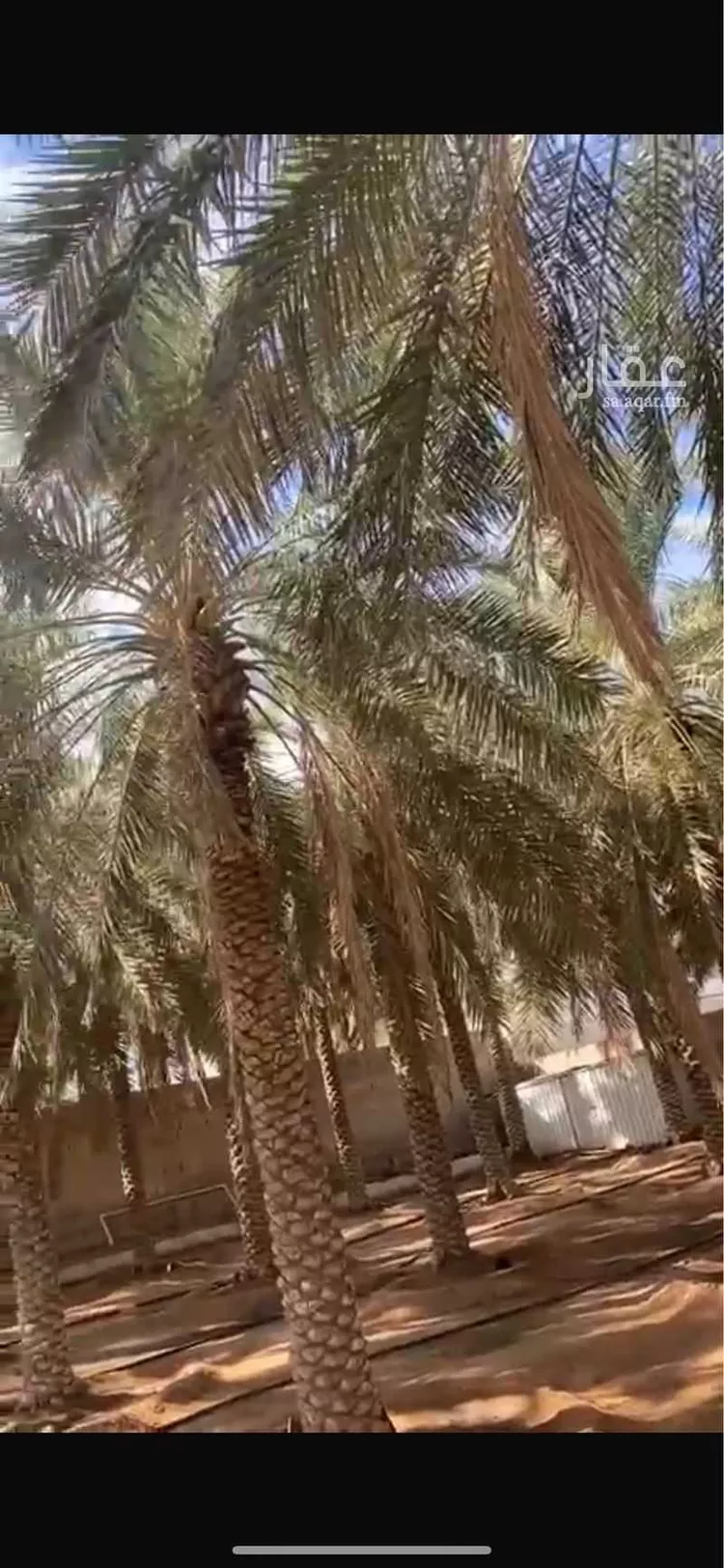 استراحة للبيع في شارع ابن الميراثي, حي الرمال, مدينة عنيزه, منطقة القصيم صورة 2