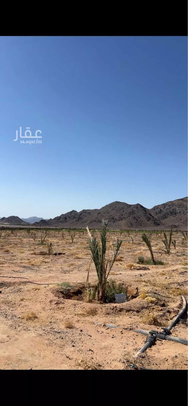 Farm for Sale in Medina Al Balqaa