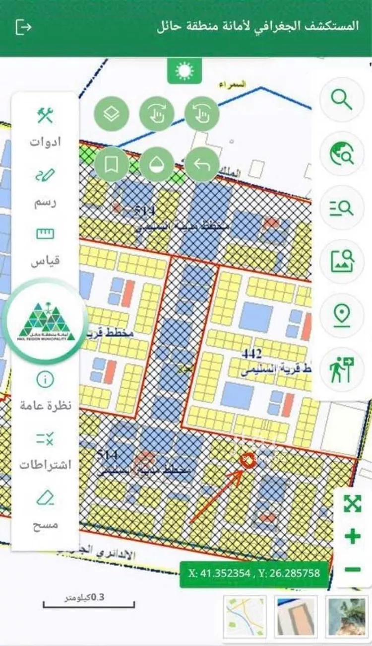 أرض للبيع في شارع 2223727, حي العدل, مدينة السليمي, منطقة حائل صورة 2
