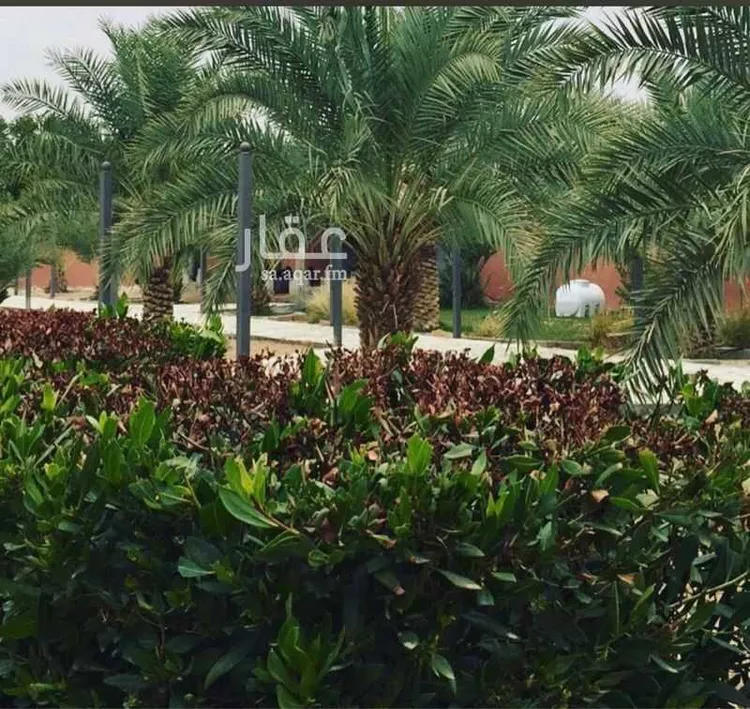 استراحة للإيجار في شارع الجدع الانصاري, حي وسيلة, مدينة المزاحميه, منطقة الرياض صورة 5