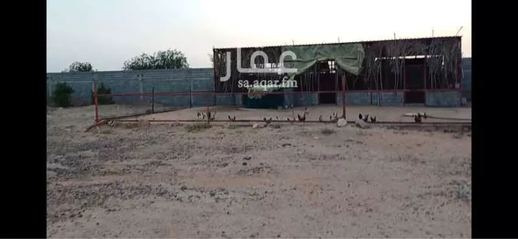 مزرعة للبيع في حي الجرفية, مدينة الجرفية, منطقة حائل 9