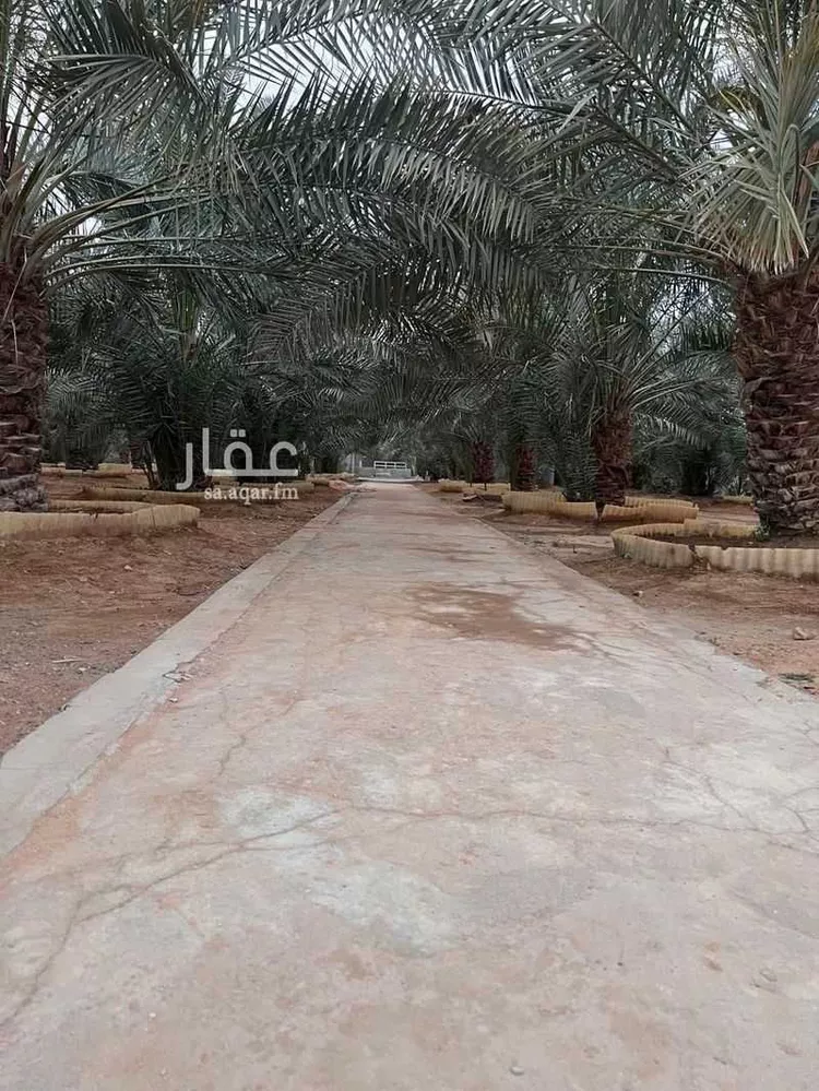 استراحة للبيع في شارع الحزم والبطينه 472 ، الخرج ، الدلم صورة 4