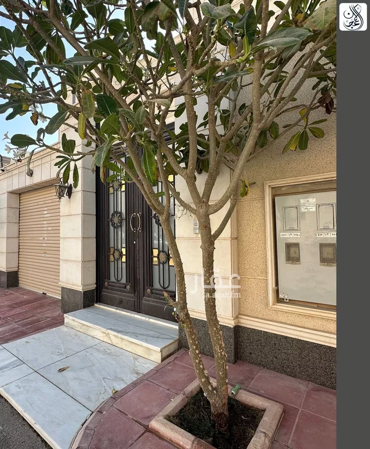 شقة للإيجار في شارع رقم 56, حي الياسمين, مدينة الرياض, منطقة الرياض
