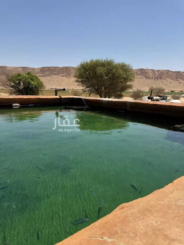 مزرعة للبيع في شارع عجاج ومزارعه 552, مدينة عجاج ومزارعه, منطقة الرياض 6