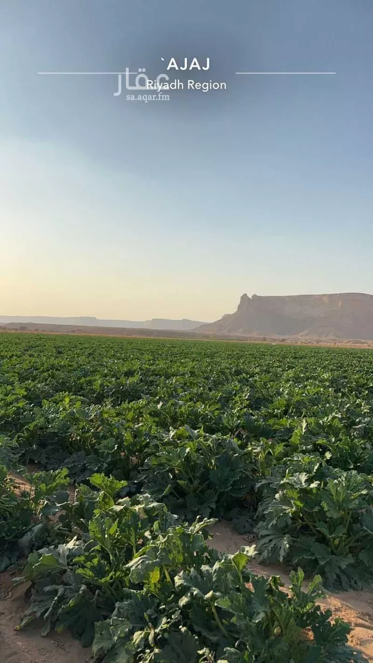 مزرعة للبيع في شارع عجاج ومزارعه 552, مدينة عجاج ومزارعه, منطقة الرياض صورة 2