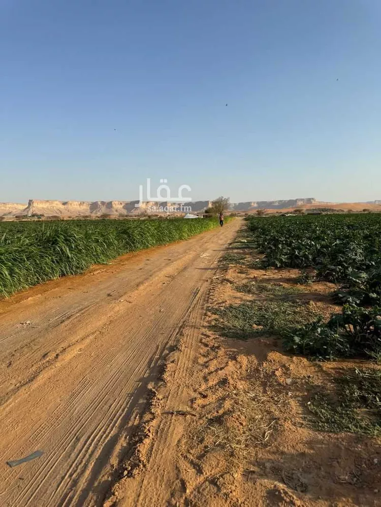 مزرعة للبيع في شارع عجاج ومزارعه 552, مدينة عجاج ومزارعه, منطقة الرياض صورة 5