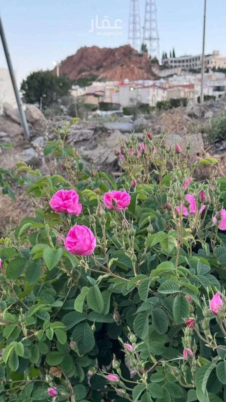 أرض للبيع في طريق الهدا ، حي الهدا ، الطائف ، الطائف صورة 2