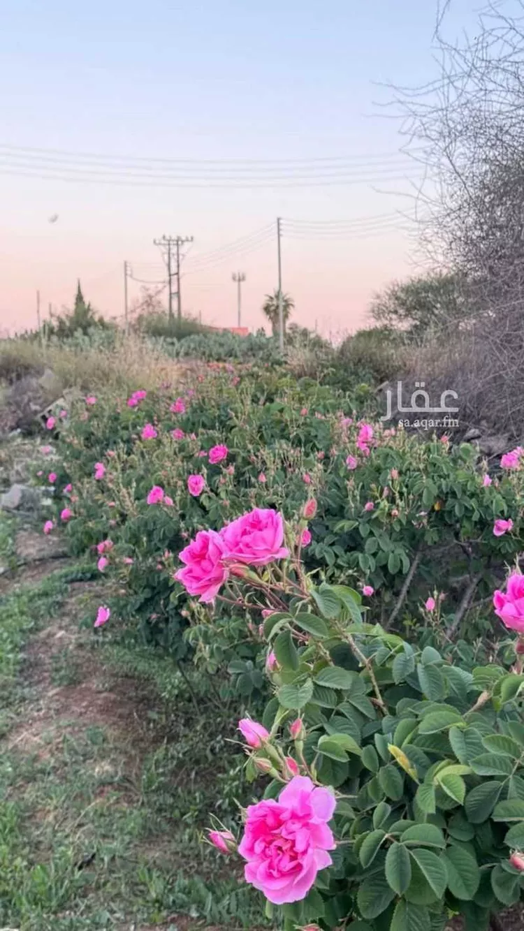 أرض للبيع في طريق الهدا ، حي الهدا ، الطائف ، الطائف