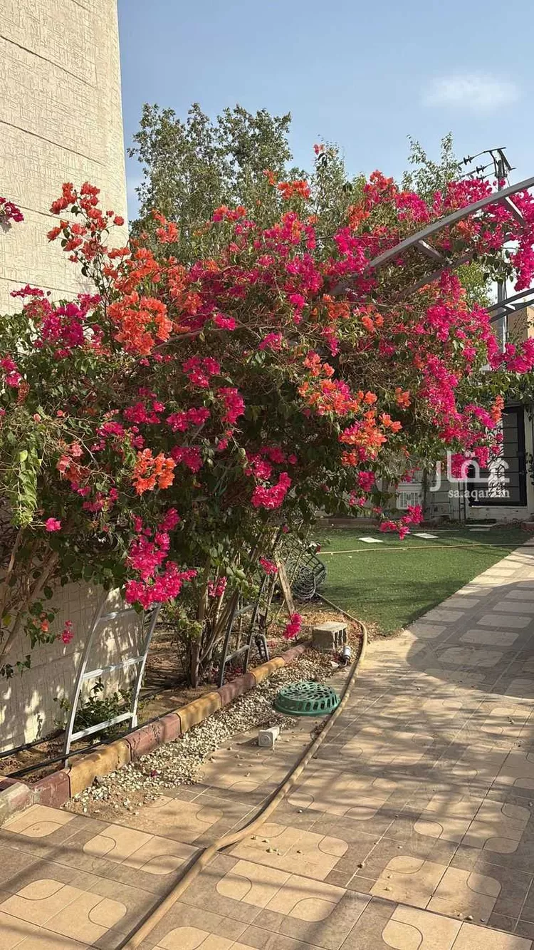فيلا للإيجار في شارع عثمان ابن عمر ، حي الرحاب ، الطائف ، الطائف صورة 5
