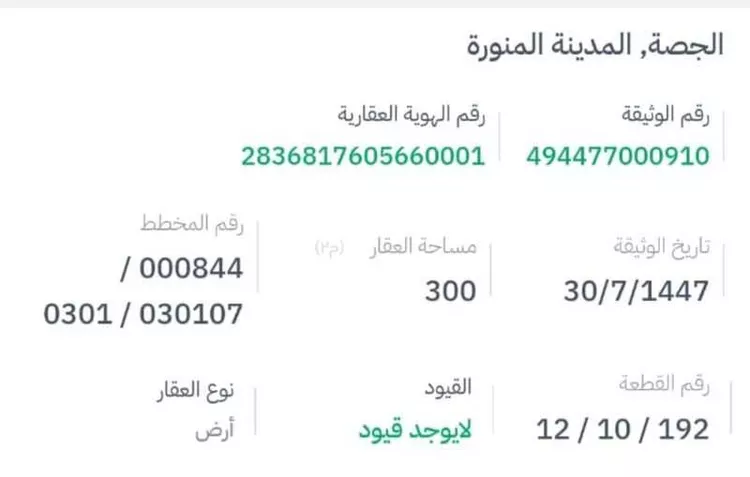 أرض للبيع في شارع غير مسمى, حي الجصة, مدينة المدينة المنورة, منطقة المدينة المنورة صورة 3