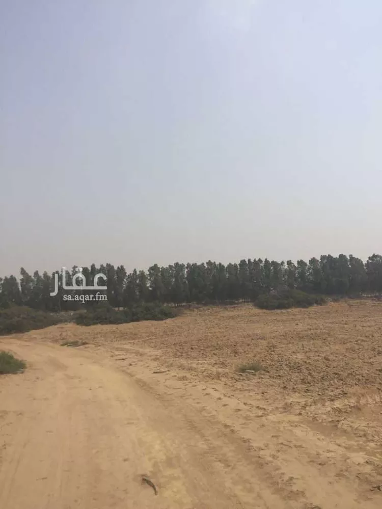 أرض للبيع في شارع محمد بن ناصر, حي الصفا, مدينة احد المسارحه, منطقة جازان