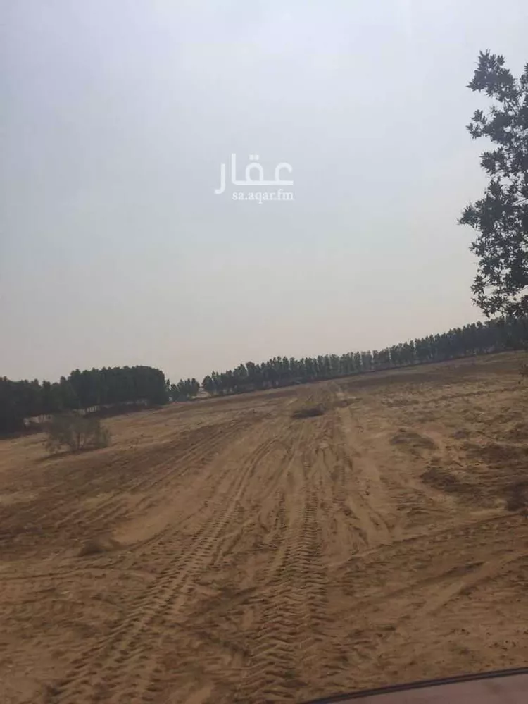 أرض للبيع في شارع محمد بن ناصر, حي الصفا, مدينة احد المسارحه, منطقة جازان صورة 3