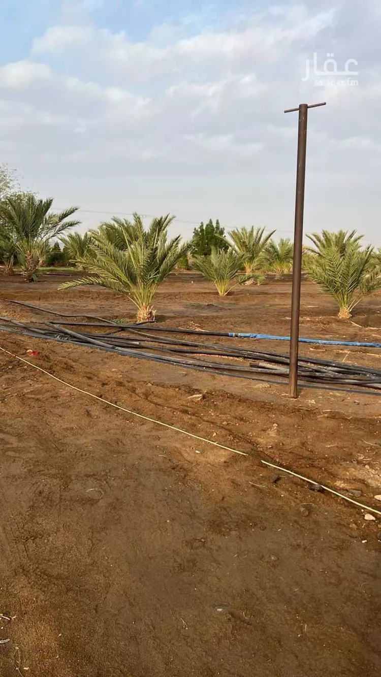 مزرعة للبيع في شارع ابي البركات الجمال, حي اليمانية, مدينة خليص, منطقة مكة المكرمة