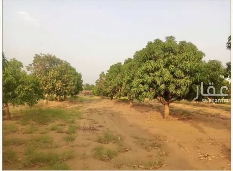 Farm for Sale in Abu `Arish AL Jaghadimah