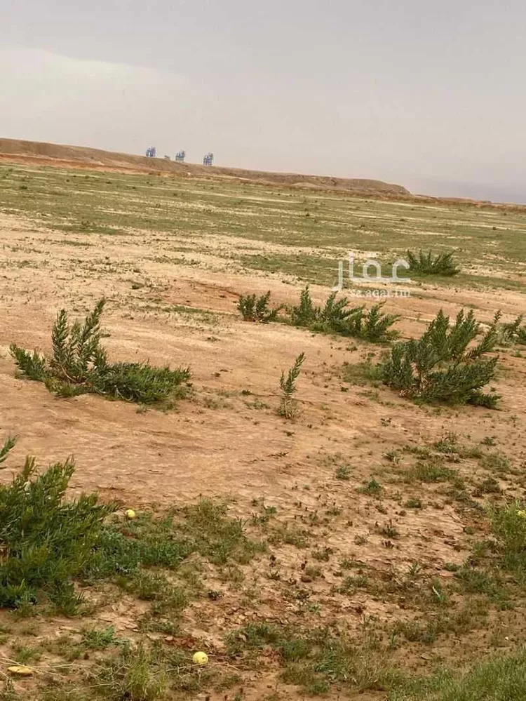 أرض للبيع في حي منطقة مفتوحة تابعة لبلدية السلي, مدينة مزرعة البكر ودواجن الأخوين, منطقة الرياض صورة 3