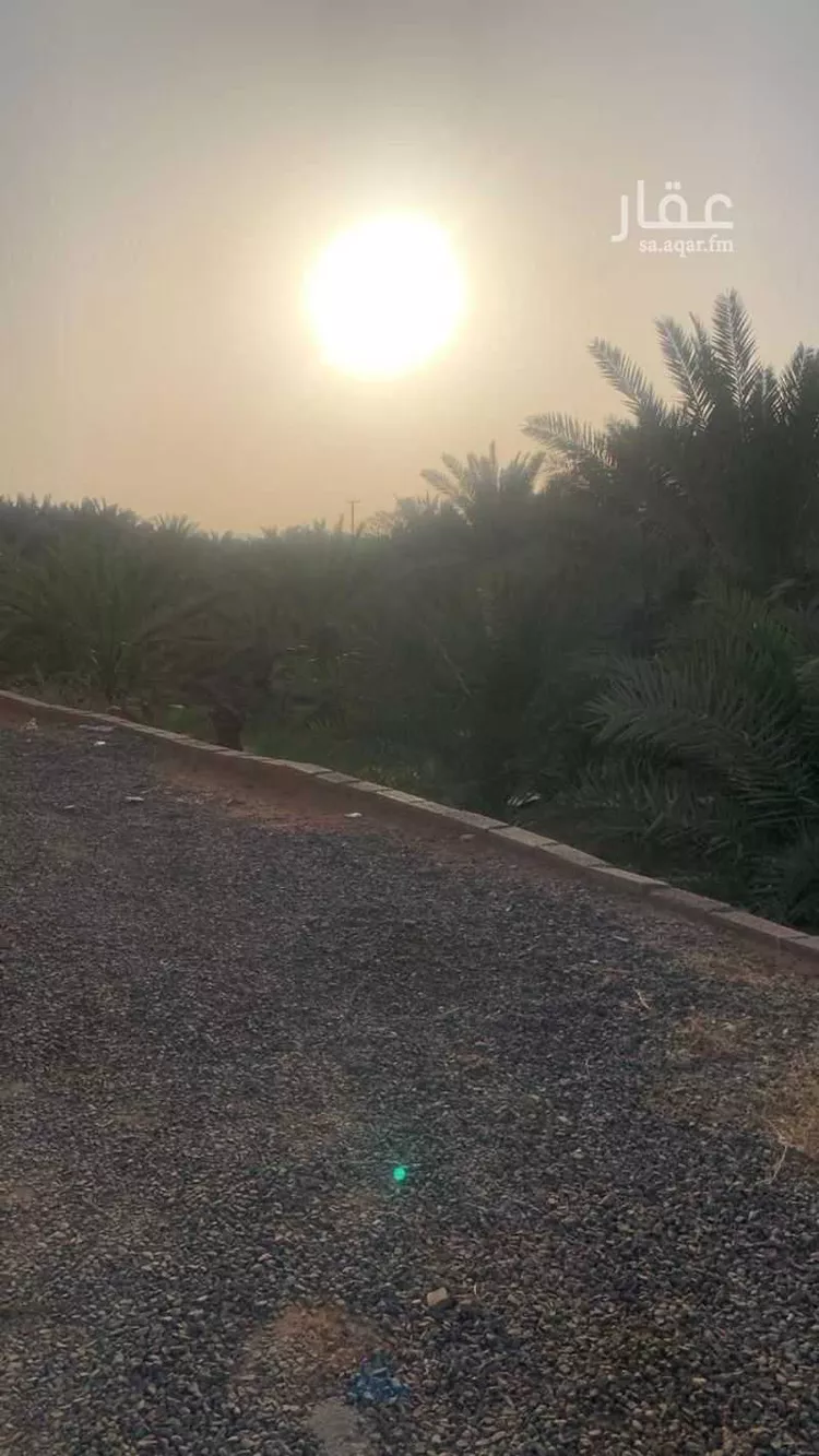 مزرعة للبيع في حي الصادقية, مدينة المدينة المنورة, منطقة المدينة المنورة صورة 3