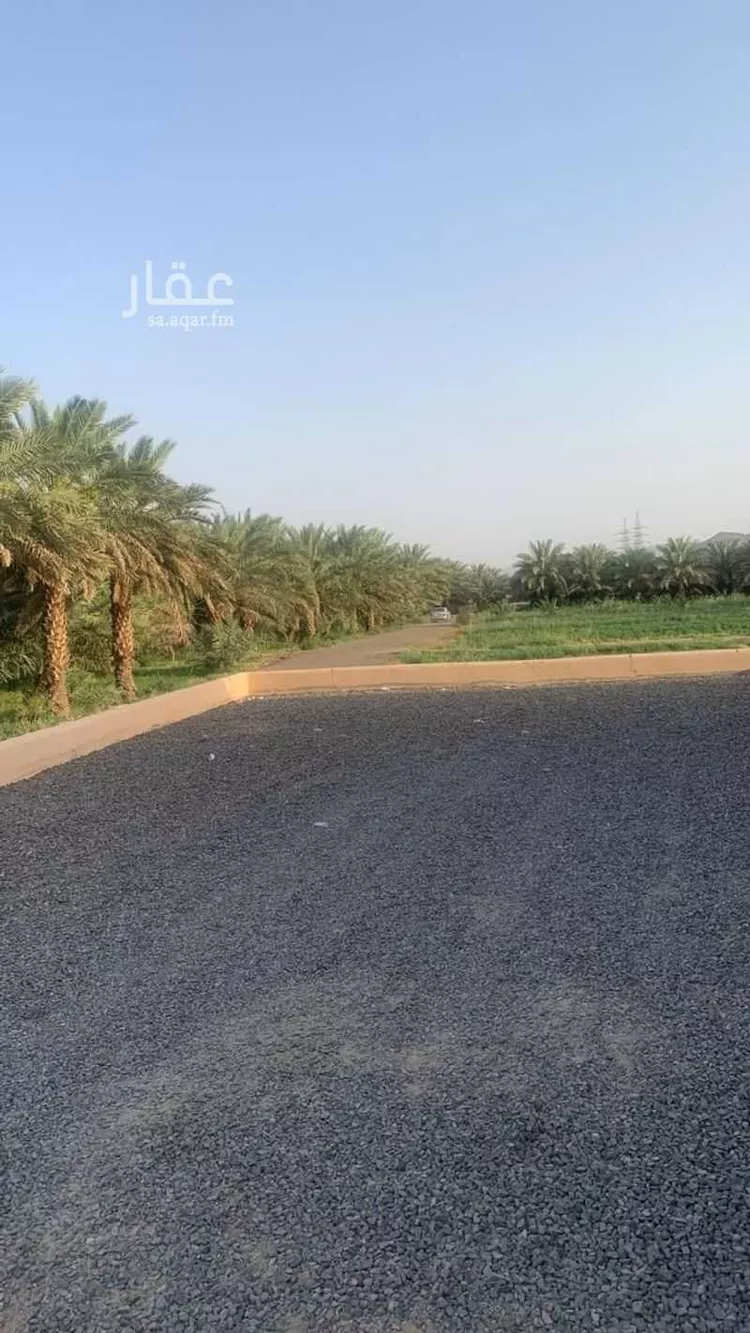 مزرعة للبيع في حي الصادقية, مدينة المدينة المنورة, منطقة المدينة المنورة صورة 5