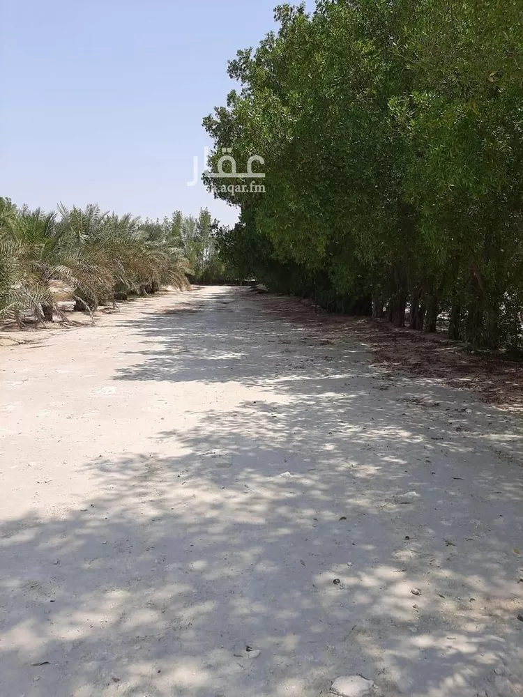 مزرعة للبيع في شارع التابلاين, مدينة الجبيل, المنطقة الشرقية صورة 4