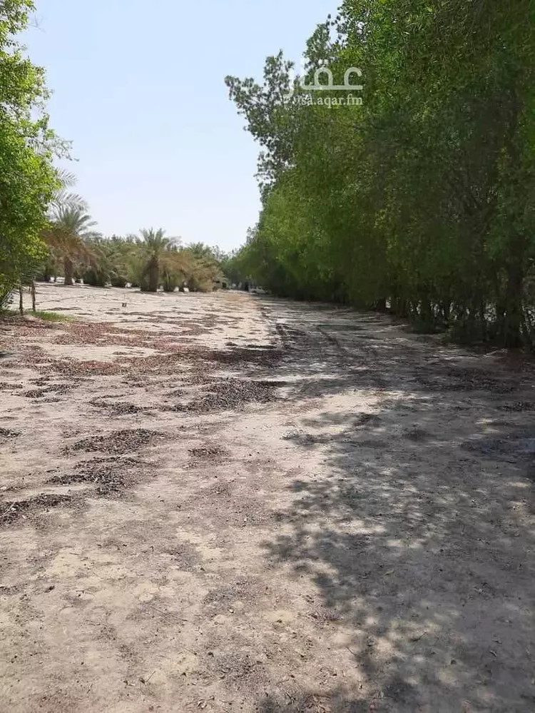 Farm for Sale in Al Jubail Industrial Area صورة 4