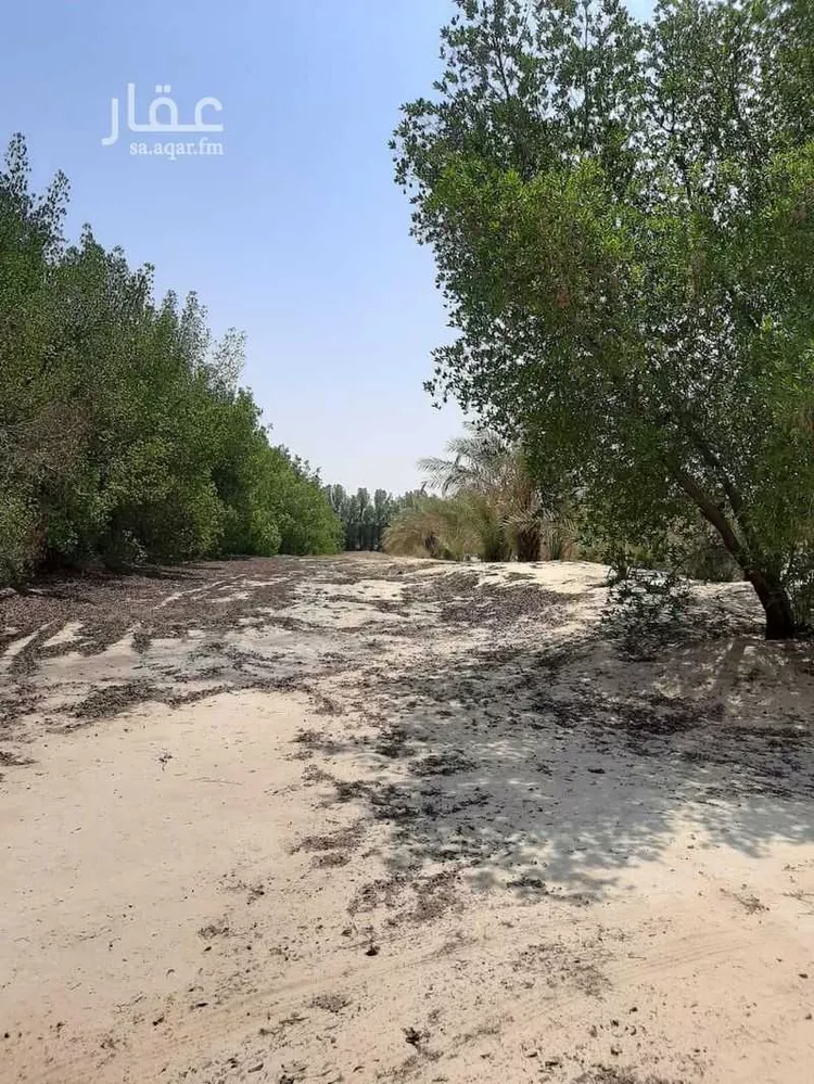 مزرعة للبيع في شارع 0000, حي مزارع الطفيح, مدينة الجبيل, المنطقة الشرقية 8
