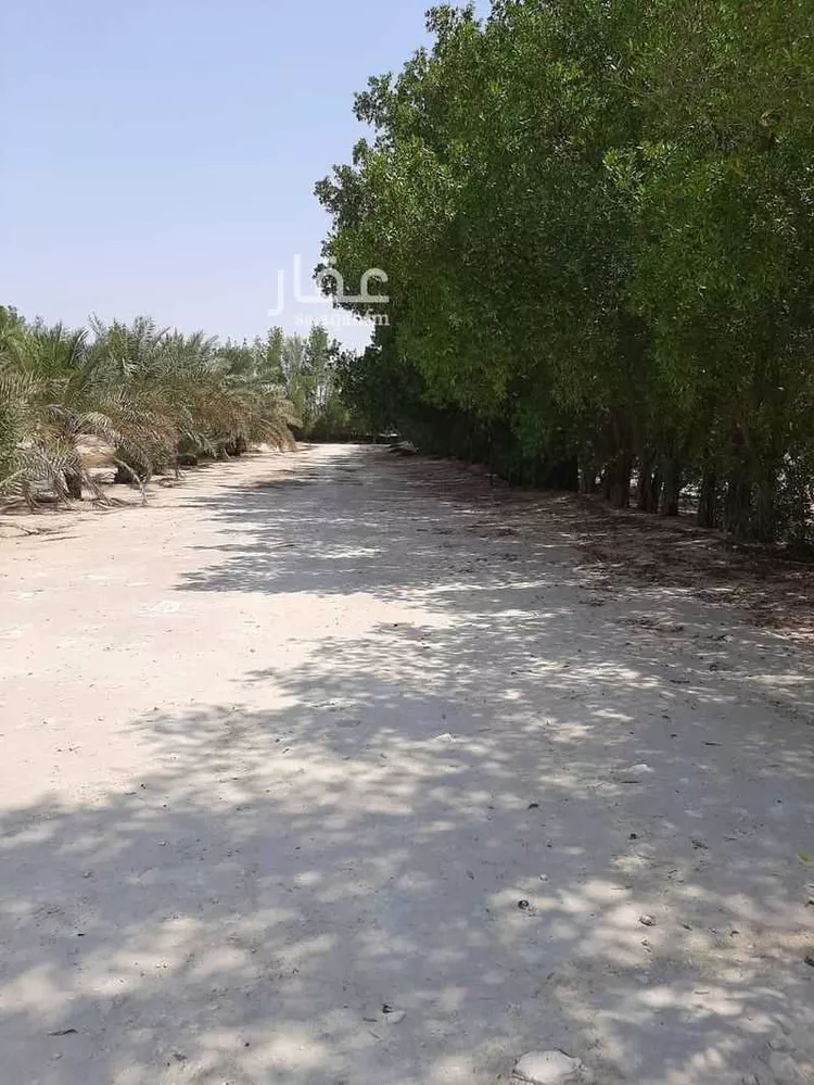 مزرعة للبيع في شارع 0000, حي مزارع الطفيح, مدينة الجبيل, المنطقة الشرقية 12