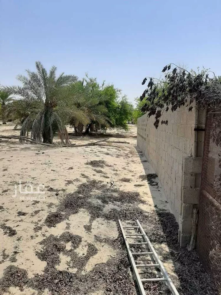 مزرعة للبيع في شارع 0000, حي مزارع الطفيح, مدينة الجبيل, المنطقة الشرقية 6