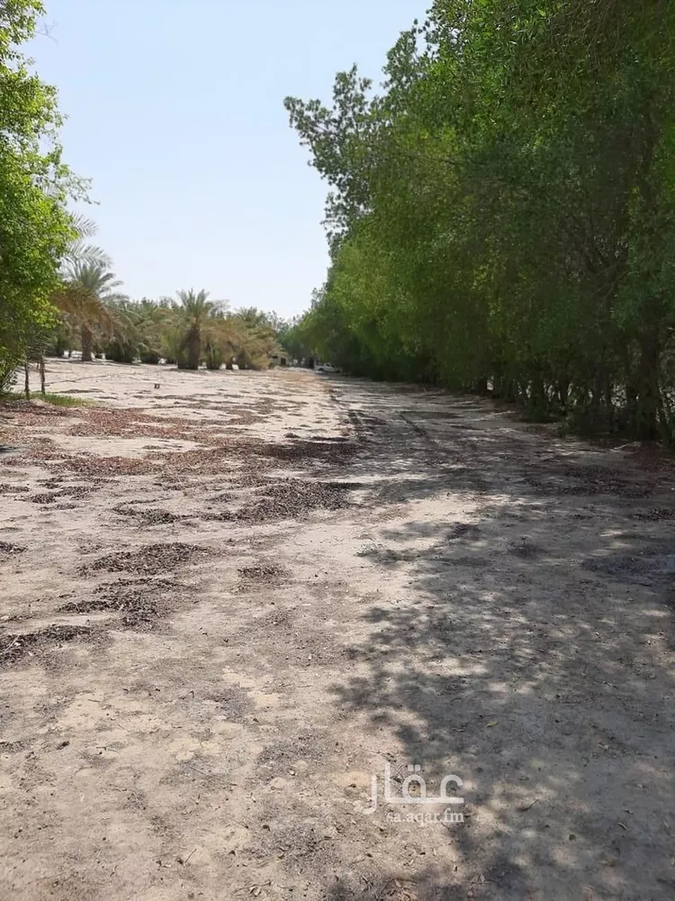 مزرعة للبيع في شارع التابلاين, مدينة الجبيل, المنطقة الشرقية صورة 5