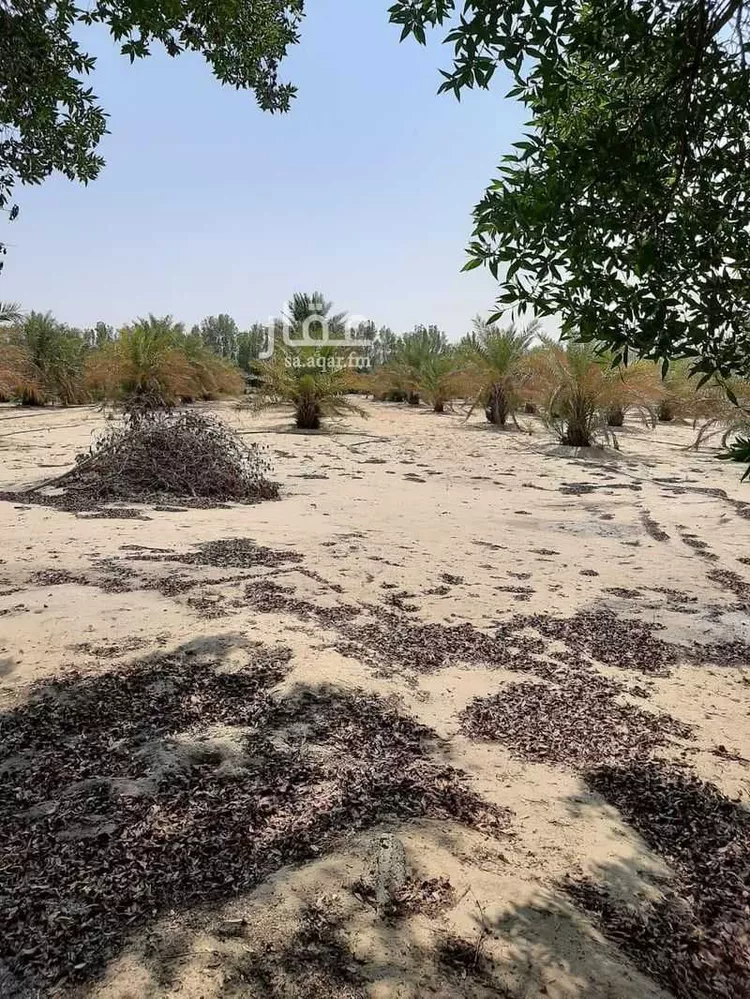 مزرعة للبيع في شارع 0000, حي مزارع الطفيح, مدينة الجبيل, المنطقة الشرقية 13