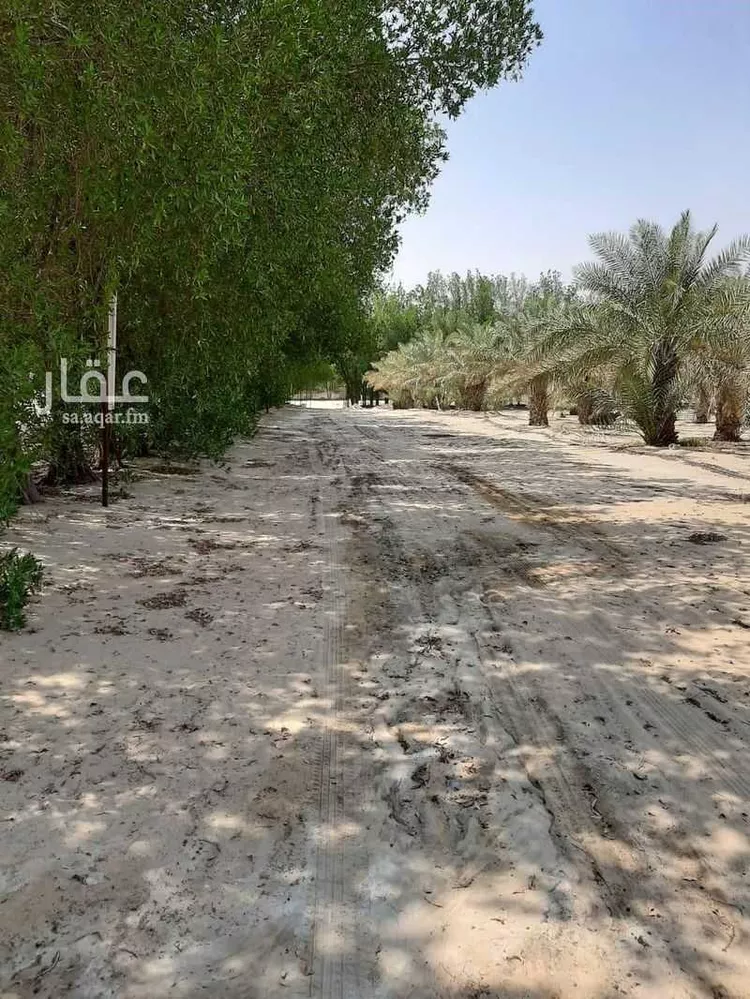 مزرعة للبيع في شارع 0000, حي مزارع الطفيح, مدينة الجبيل, المنطقة الشرقية 11