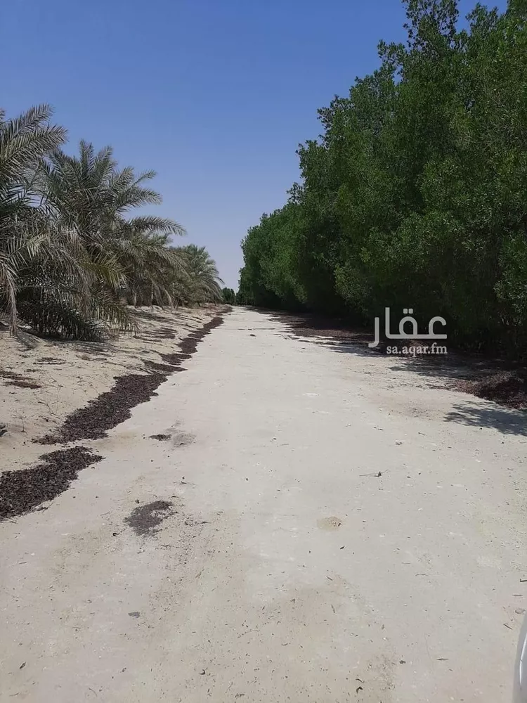 مزرعة للبيع في شارع التابلاين, مدينة الجبيل, المنطقة الشرقية