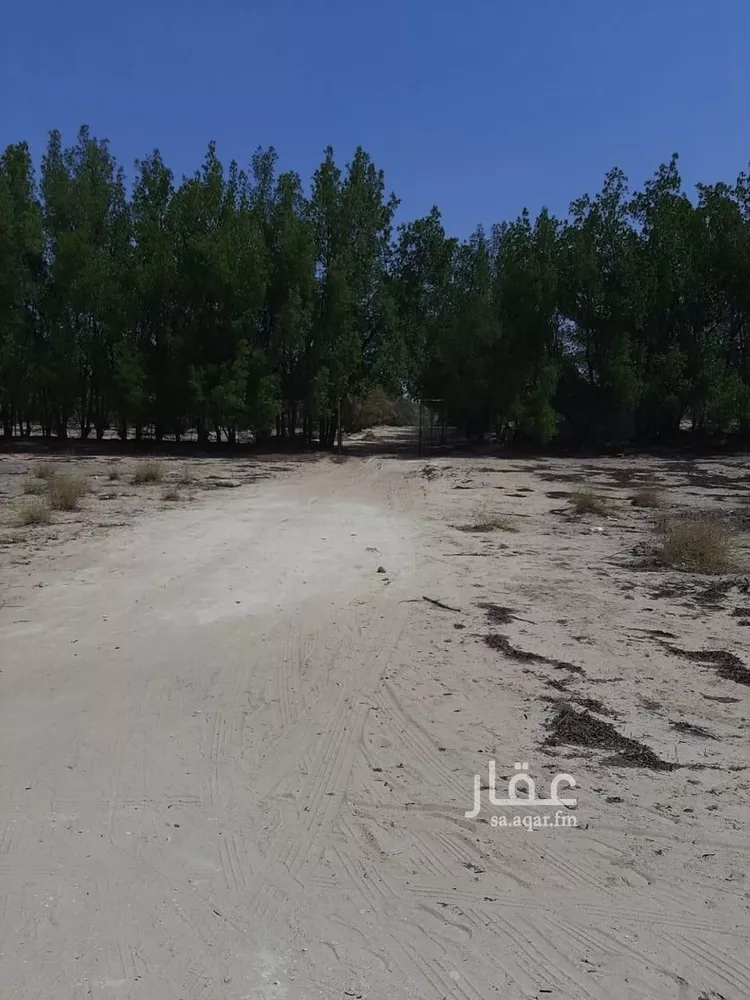 مزرعة للبيع في شارع حي ج19 1225, حي ج19, مدينة الجبيل, المنطقة الشرقية صورة 3