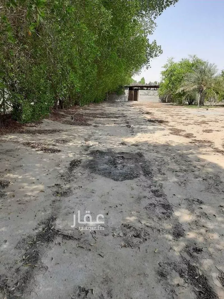 Farm for Sale in Al Jubail Industrial Area صورة 5