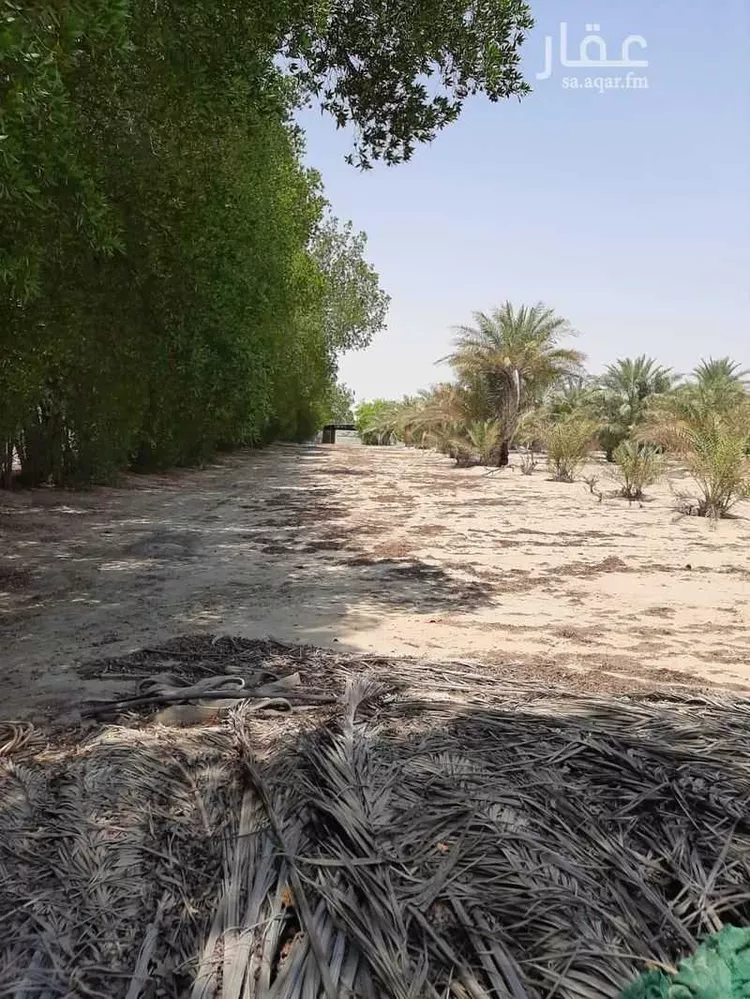مزرعة للبيع في شارع 0000, حي مزارع الطفيح, مدينة الجبيل, المنطقة الشرقية 7