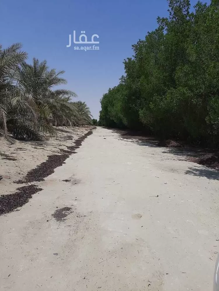 Farm for Sale in Al Jubail Industrial Area صورة 2